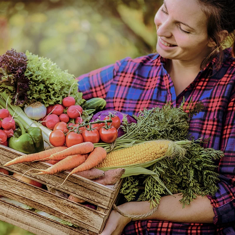 Eine lächelnde Frau in einem karierten Hemd hält eine Holzkiste mit frischem Gemüse, darunter Karotten, Mais, Tomaten, Salat, Paprika und Radieschen, in einem Garten im Freien.