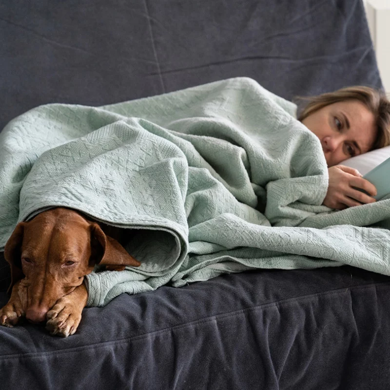 Eine Frau liegt auf einer mit einer hellgrünen Decke bedeckten Couch und liest ein Buch, während ein brauner Hund neben ihr unter derselben Decke kuschelt. Beide sehen gemütlich und entspannt aus.